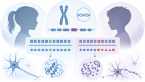 MECP2 Reading Frame Distinguishes Benign From Pathogenic CTDs
