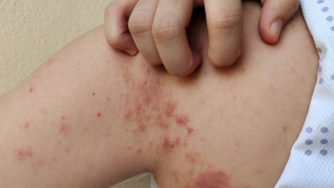 ReachMD Healthcare Image