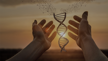 ReachMD Healthcare Image
