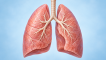Sotatercept Improves PAH Exercise Capacity Through Mechanisms Beyond the Lungs