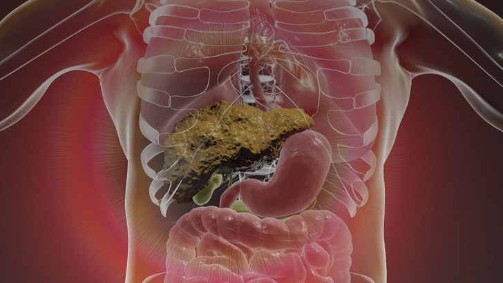 ReachMD Healthcare Image