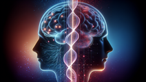 sex differences in mouse brain glp 1 mapping clinical implications