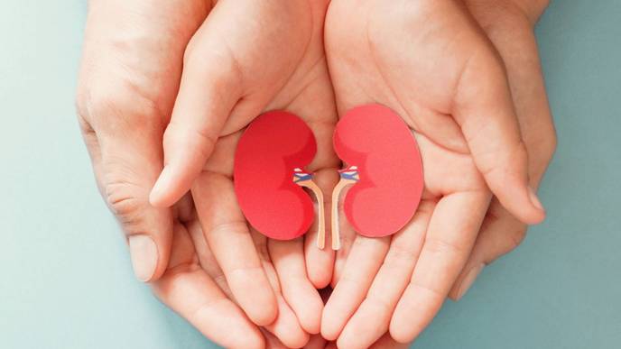 ReachMD Healthcare Image