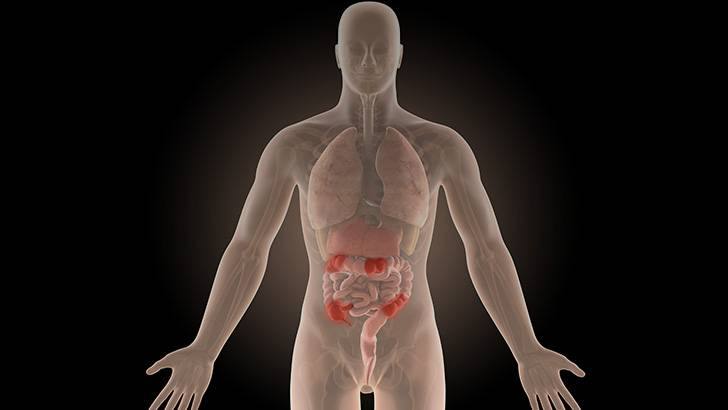 ReachMD Healthcare Image