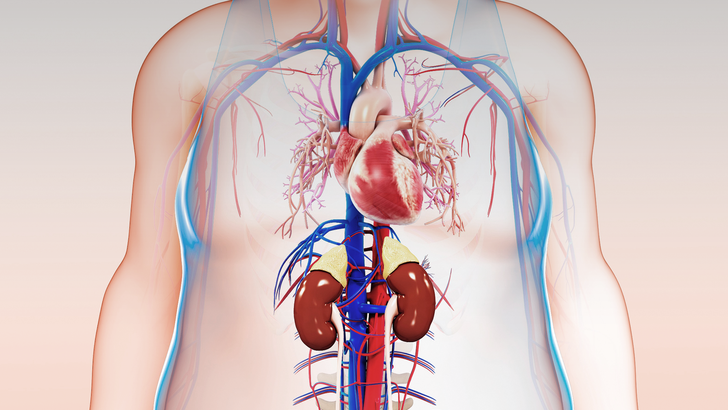ReachMD Healthcare Image