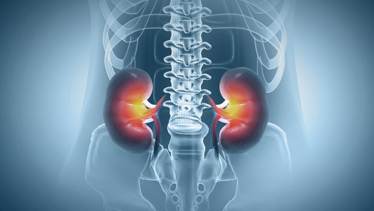 ReachMD Healthcare Image