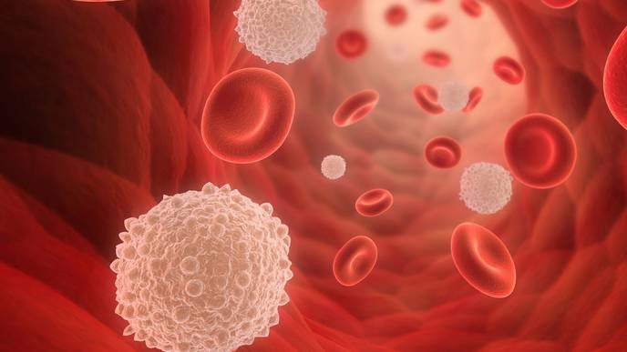 ReachMD Healthcare Image