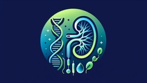 Harnessing lncRNAs A New Frontier in Early Diagnosis and Intervention for Kidney Diseases