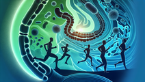 exercise gut microbiome cancer treatment
