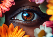 The Growing Market of Presbyopes