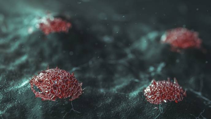 ReachMD Healthcare Image