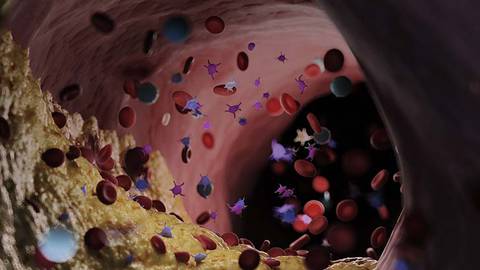 ReachMD Healthcare Image