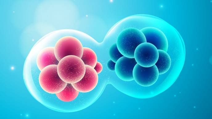 ReachMD Healthcare Image