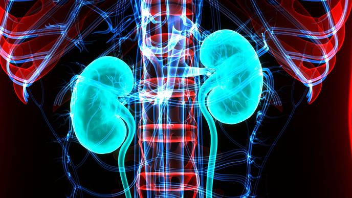 ReachMD Healthcare Image