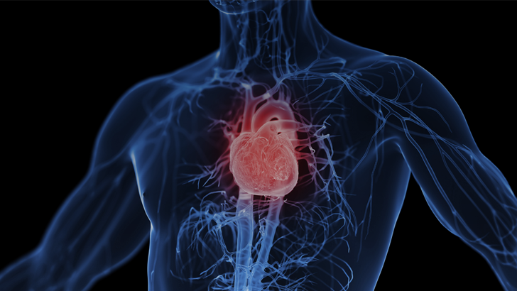 ReachMD Healthcare Image
