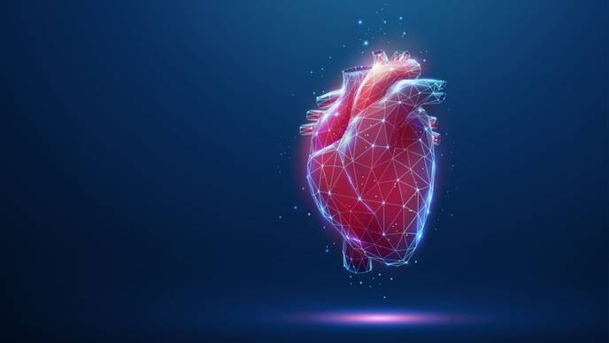 ReachMD Healthcare Image