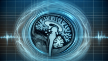 Impact on MRI Features of Normal Brain Tissue