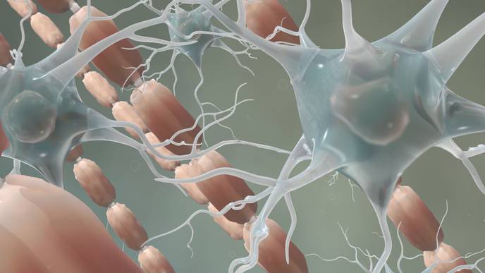 ReachMD Healthcare Image