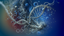 innovative strategies immune evasion hnscc
