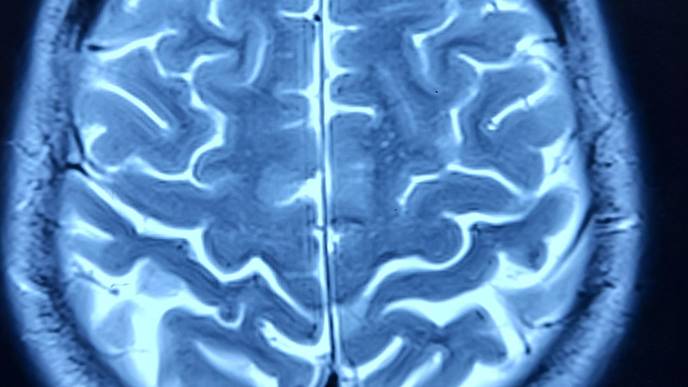 ReachMD Healthcare Image