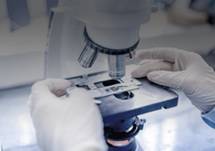 Cell Death and Differentiation: A Novel Treatment of Cystic Fibrosis Acting On-Target