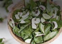 What's On Your Patient's Plate: Focus on Cancer Prevention