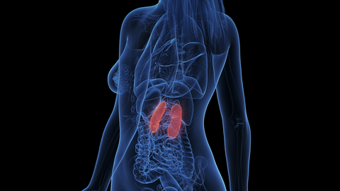 ReachMD Healthcare Image