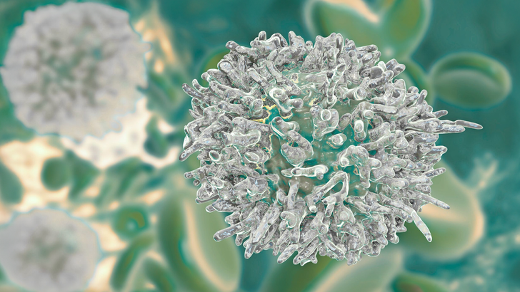 ReachMD Healthcare Image