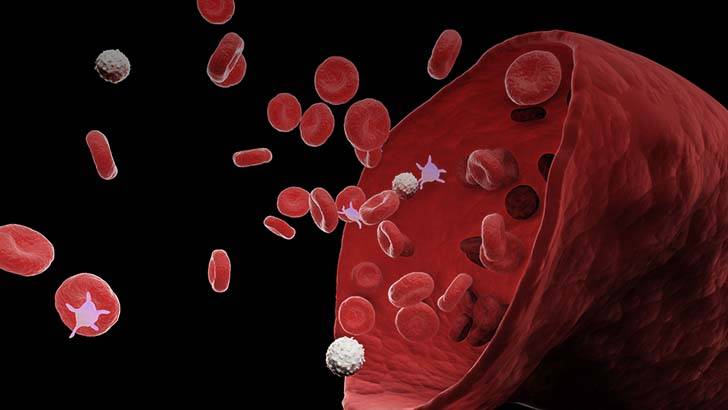 ReachMD Healthcare Image