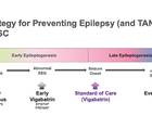 Epilepsy Essentials The Current and Future Landscape of Tuberous Sclerosis Complex Diagnosis and Treatment