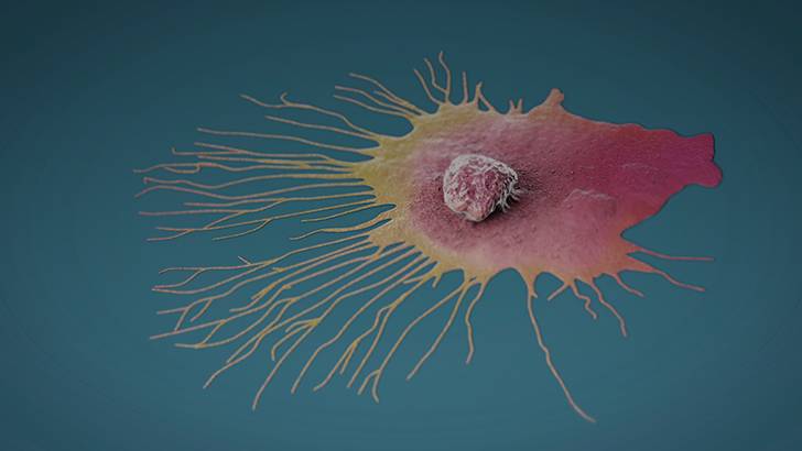 ReachMD Healthcare Image