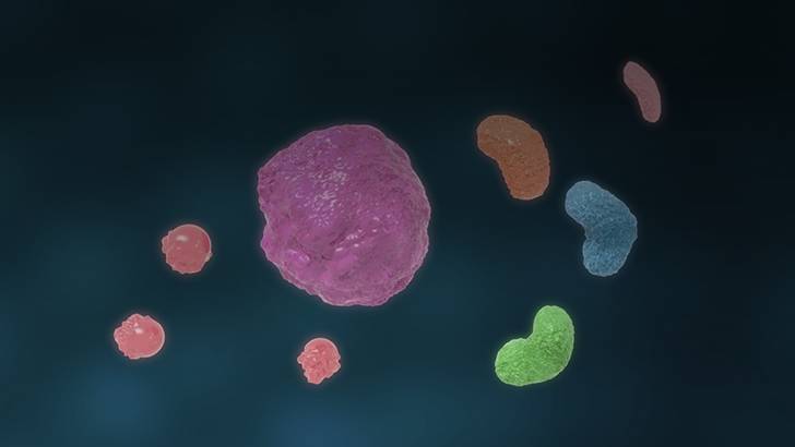 ReachMD Healthcare Image