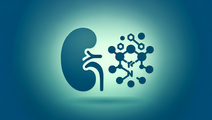 GLP 1 Drugs A Promising Therapeutic Approach for Kidney Transplant Recipients with Type 2 Diabetes