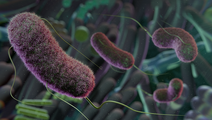 ReachMD Healthcare Image