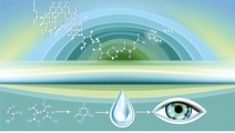 Innovative Peptide Eye Drops Could Transform Treatment for Age Related Macular Degeneration