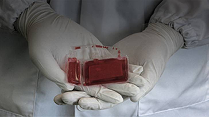 ReachMD Healthcare Image