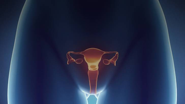 ReachMD Healthcare Image