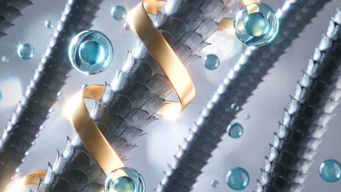 ReachMD Healthcare Image