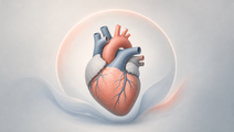 Simplified anatomical heart with subtle protective halo representing RSV vaccination research in older adults with heart