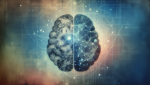 Illuminating the Brain Unraveling Autism Spectrum Disorder Through Multi Modal Imaging