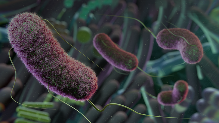 ReachMD Healthcare Image