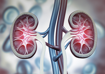 Refining Strategies for Enhancing Cardiorenal Outcomes With SGLT2 Inhibitors: Optimizing the Cardiometabolic Care Model