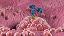 ReachMD Healthcare Image