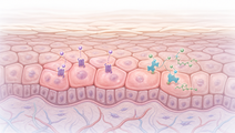 AI Guided CRISPR Finds New Psoriasis Targets in Keratinocytes