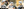 Figure 1. In the preoperative area just before cataract surgery, the patient is unable to extend her upper back and neck, which is angled almost 90º from the back of the bed. Her head tilts toward her left shoulder. These images show maximal extension of the patient’s upper back and neck.Courtesy of Brandon D. Ayres, MD