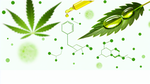 Cannabidiol Offers Safe Effective Treatment for Rare Neurological Disorder