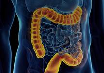 Virtual IBD Clinic: Updates in Diagnostic, Therapeutic, and Prognostic Strategies