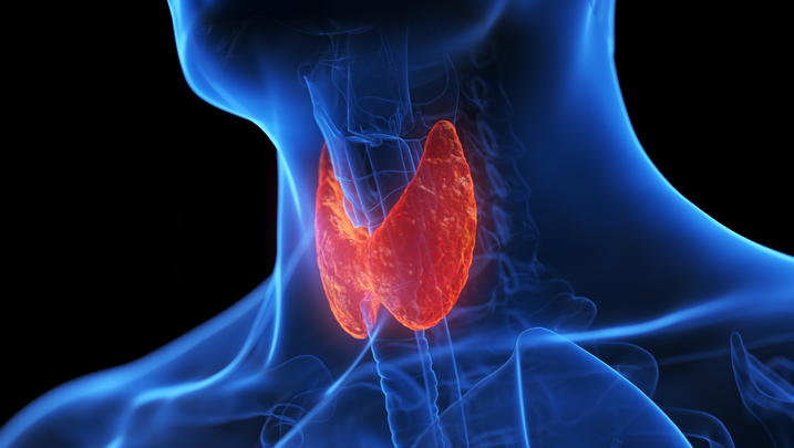 ReachMD Healthcare Image