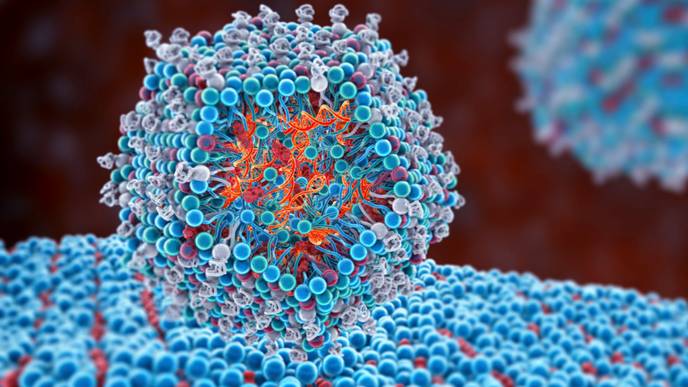 ReachMD Healthcare Image