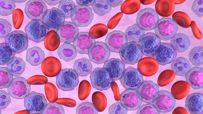 ReachMD Healthcare Image